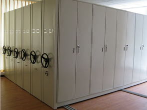 密集架正在如孩子一般在成長(zhǎng)