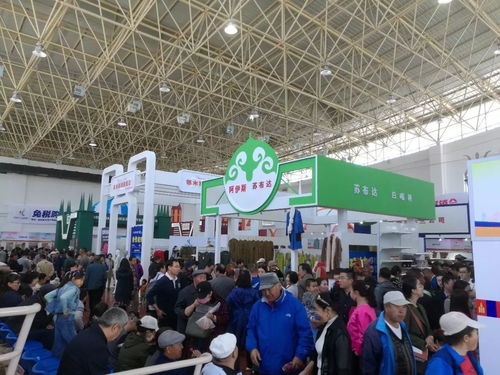 第十三屆中俄蒙經(jīng)貿(mào)洽談暨商品展銷會(huì)圓滿落幕，俄蒙展廳現(xiàn)場(chǎng)火爆彰顯區(qū)域合作新活力